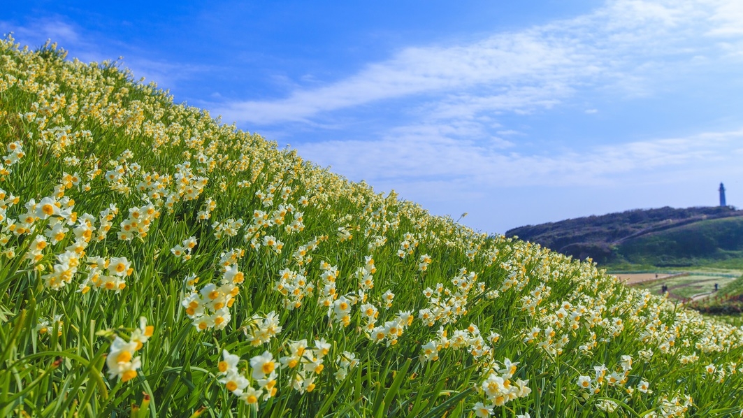 ＊期間限定＊【桜シーズン到来！】桜えびの釜めしを味わうプラン_