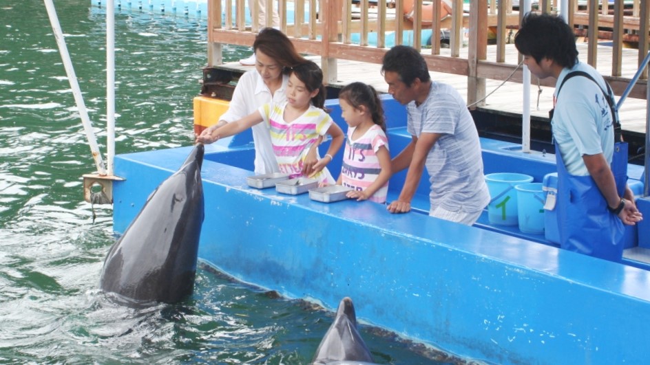 下田海中水族館