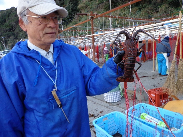 これでどうだ海の幸！！★伊勢えび★アワピの鉄鈑焼き★新鮮舟盛り！てんこ盛り年末年始プラン！！