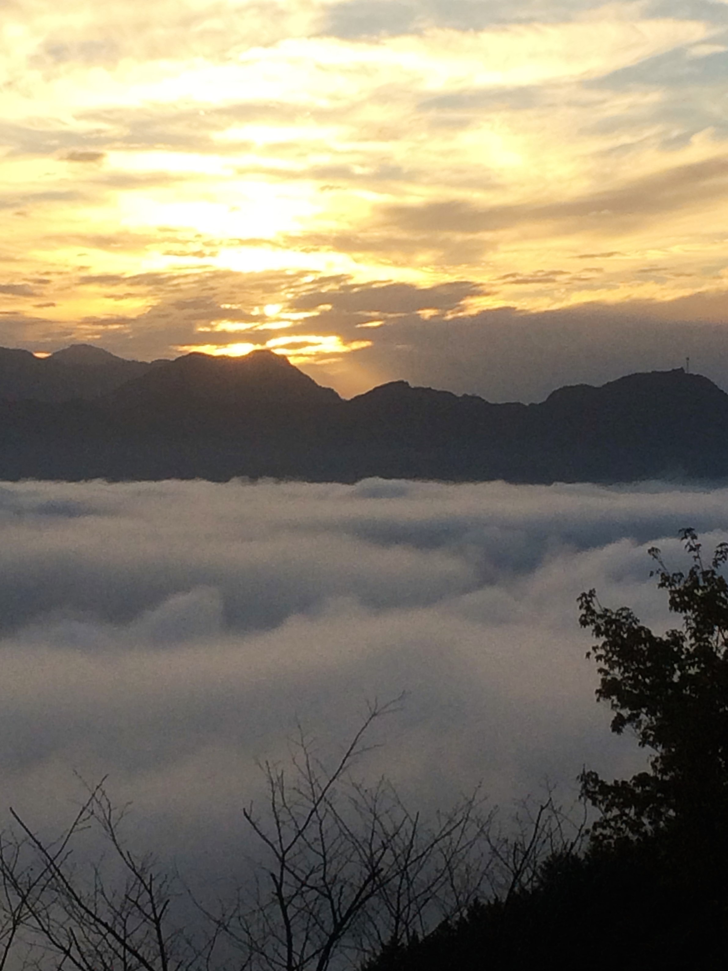 国見ヶ丘からの「雲海」