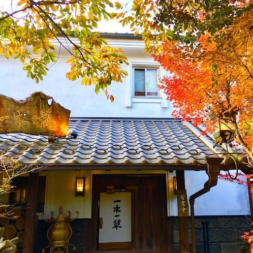 【外観】秋の頃は更なり。玄関先の紅葉と相まって雰囲気が華やかなになります