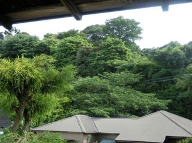 【吉野】　江戸時代に建てられた九覧亭の山がきれいに見える静かなお部屋です。