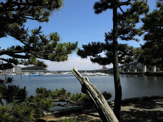 瀬戸神社、弁天島より海を見た景色　お散歩はいかがですか？