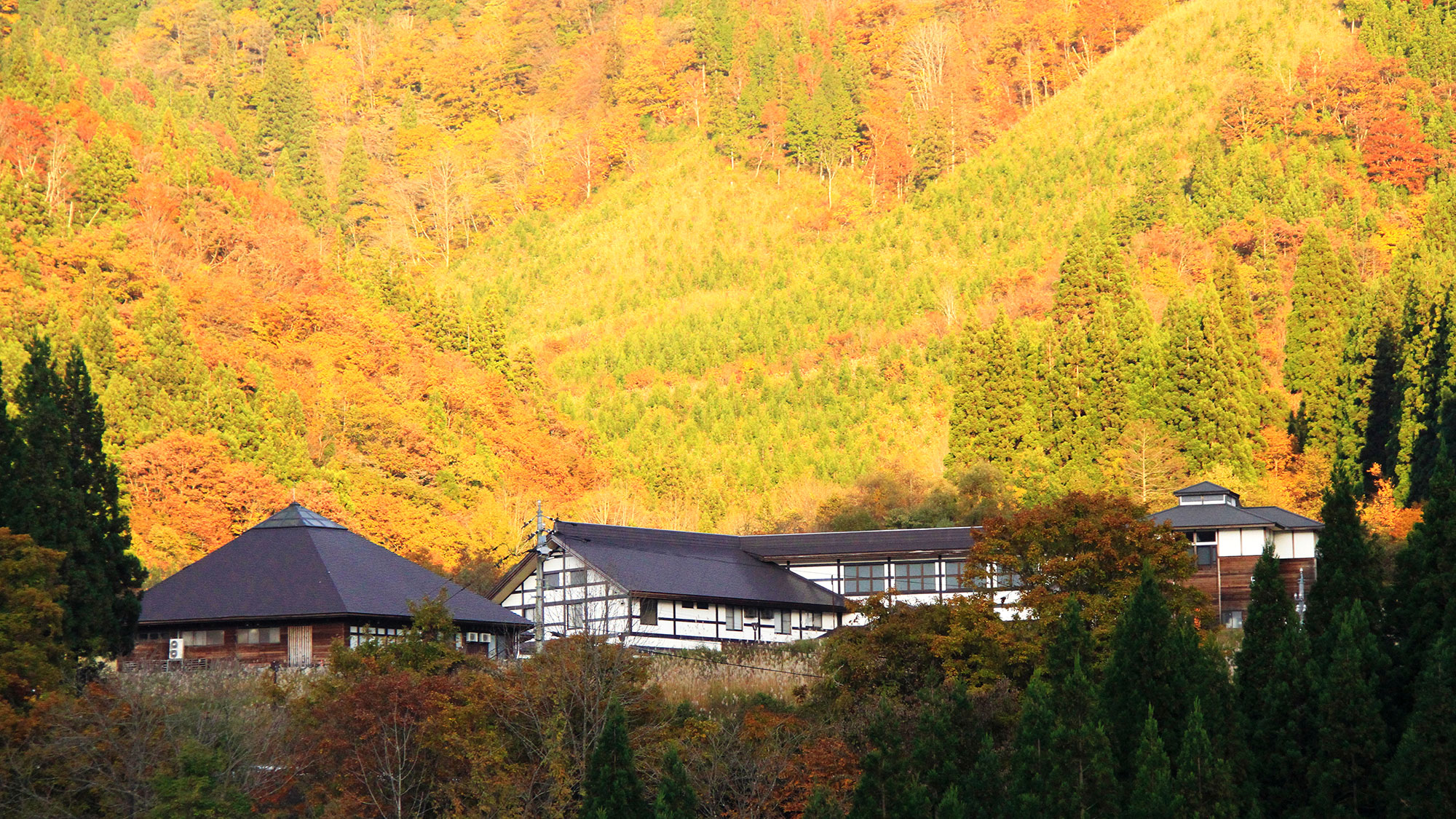紅葉の天竺温泉の郷