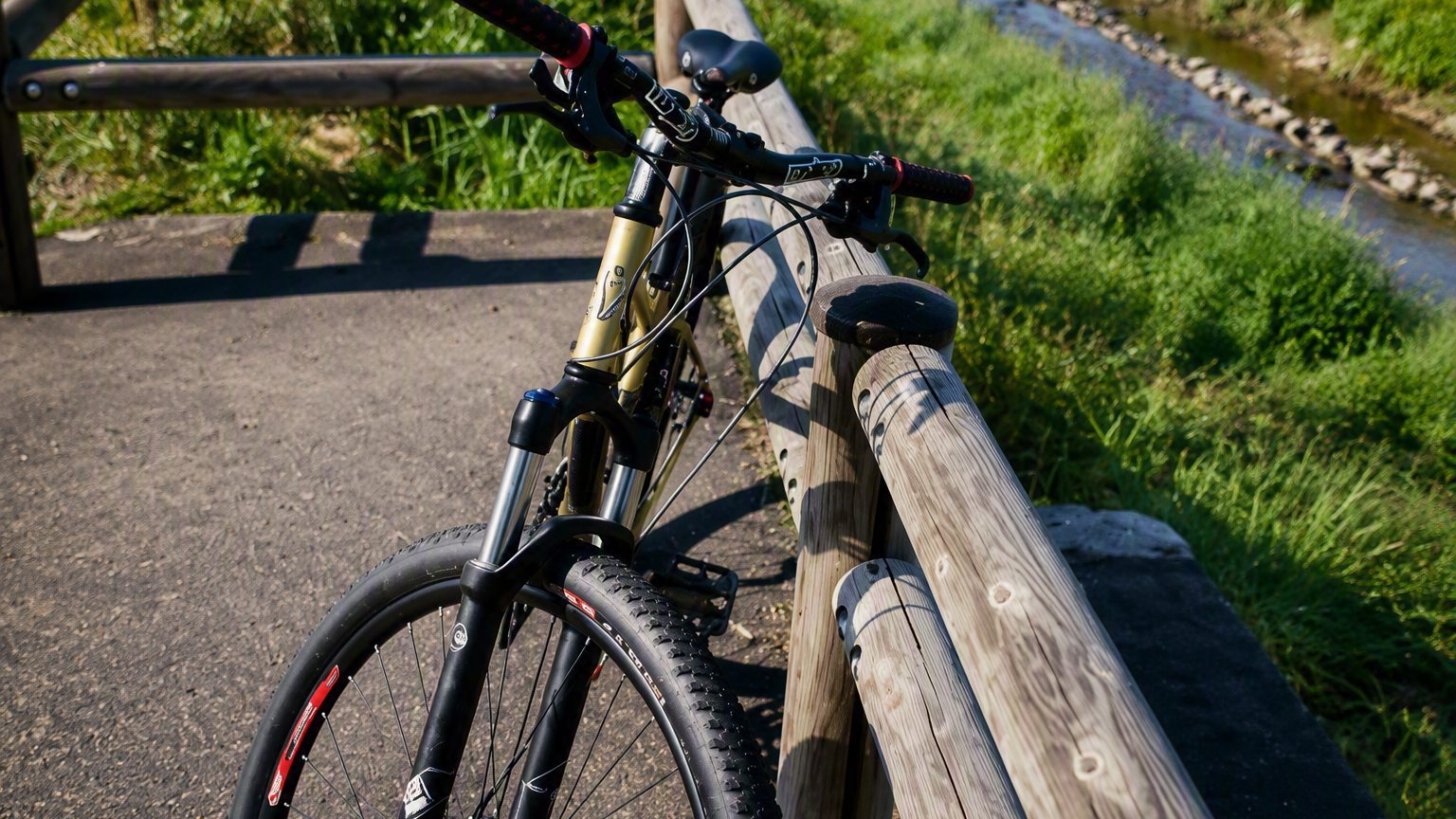 ビワイチチャレンジ！自転車で琵琶湖一周♪麦茶サービス【現金特価】