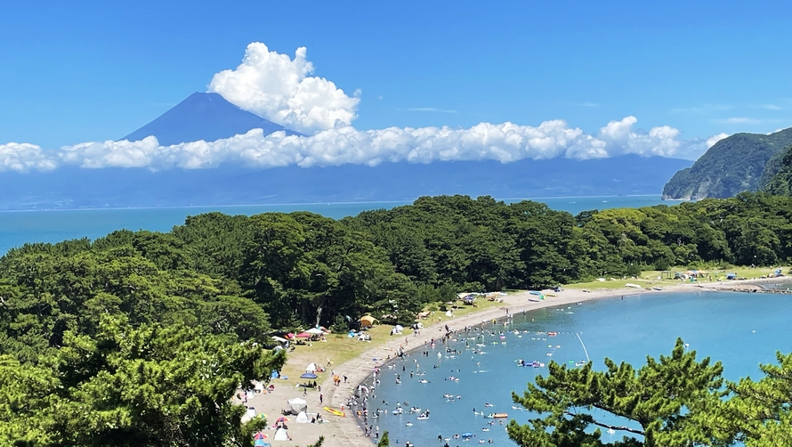 【室数限定】ぶらり一人旅　特割プラン　〜今宵御膳　あわび付〜 