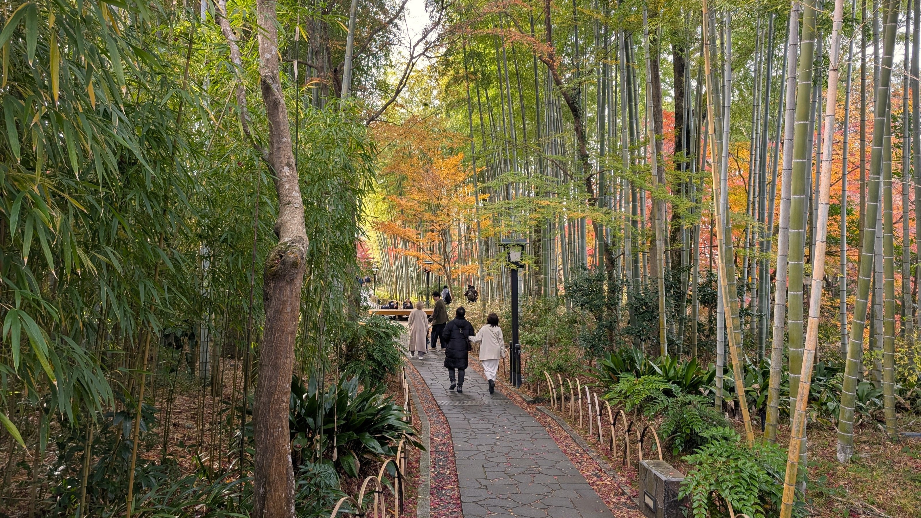 秋の修善寺（当館から車で約30分）