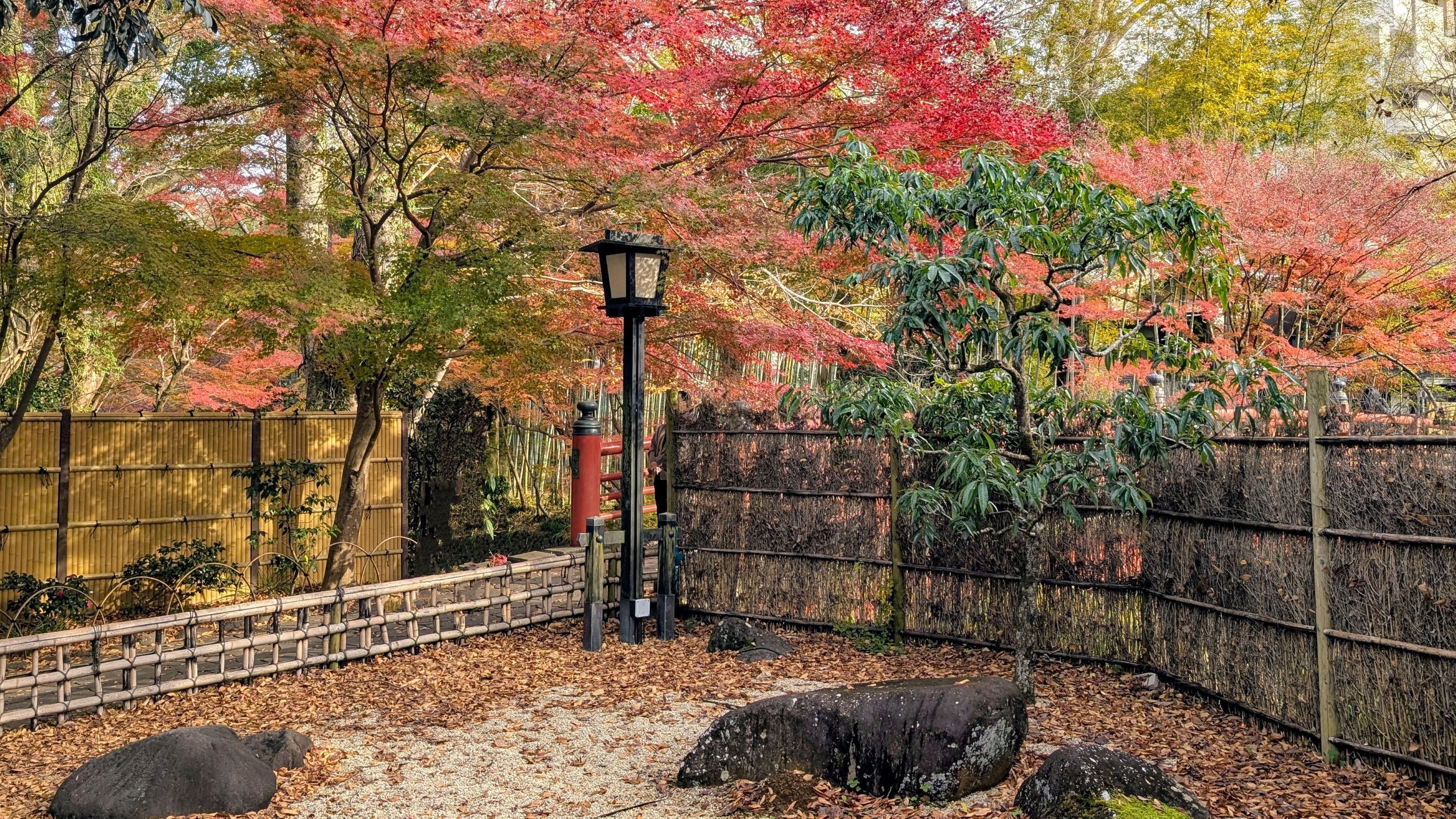 秋の修善寺（当館から車で約30分）