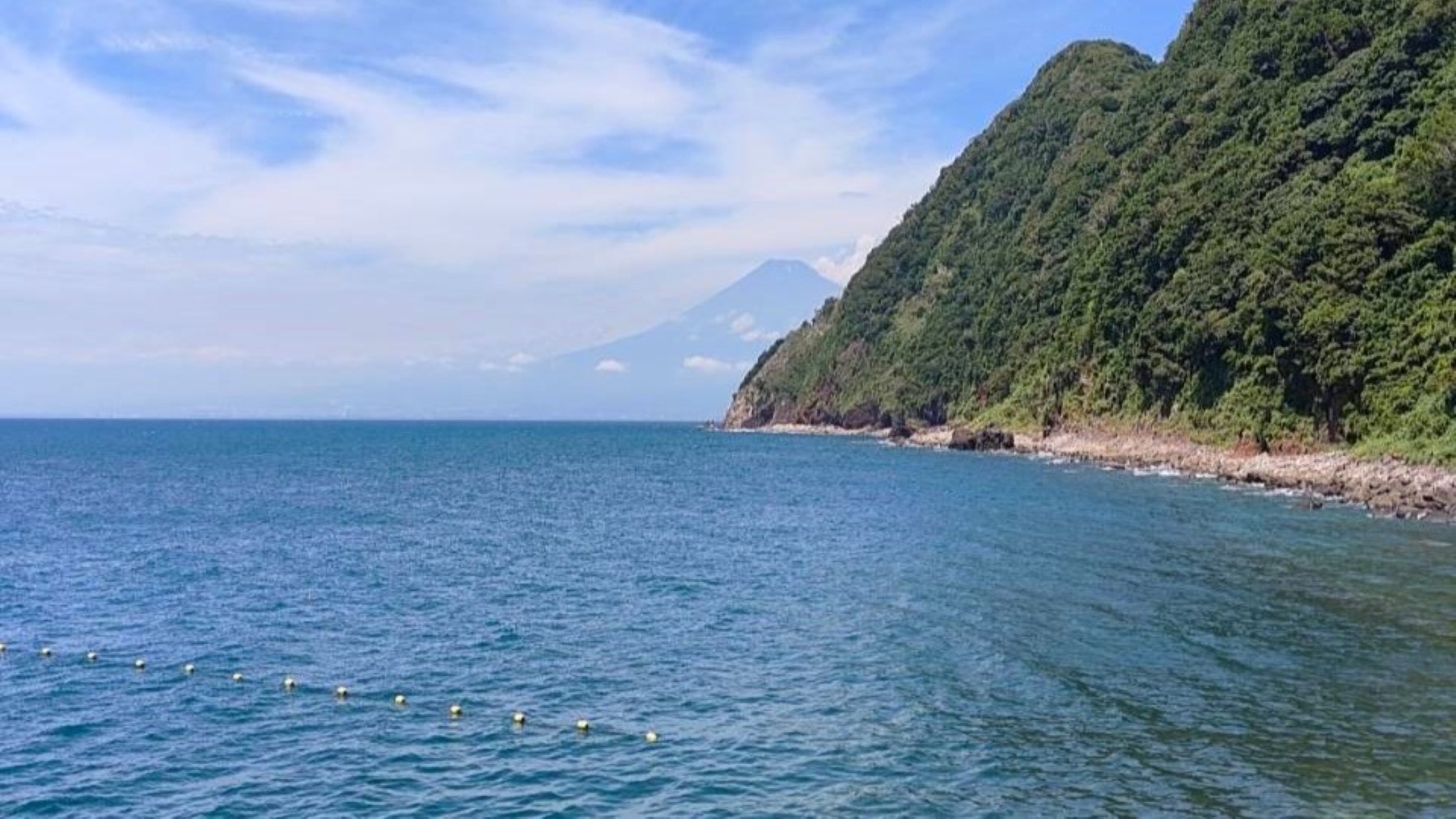 「井田海水浴場」当館から車で15分！富士山も見える穴場の海水浴場です。