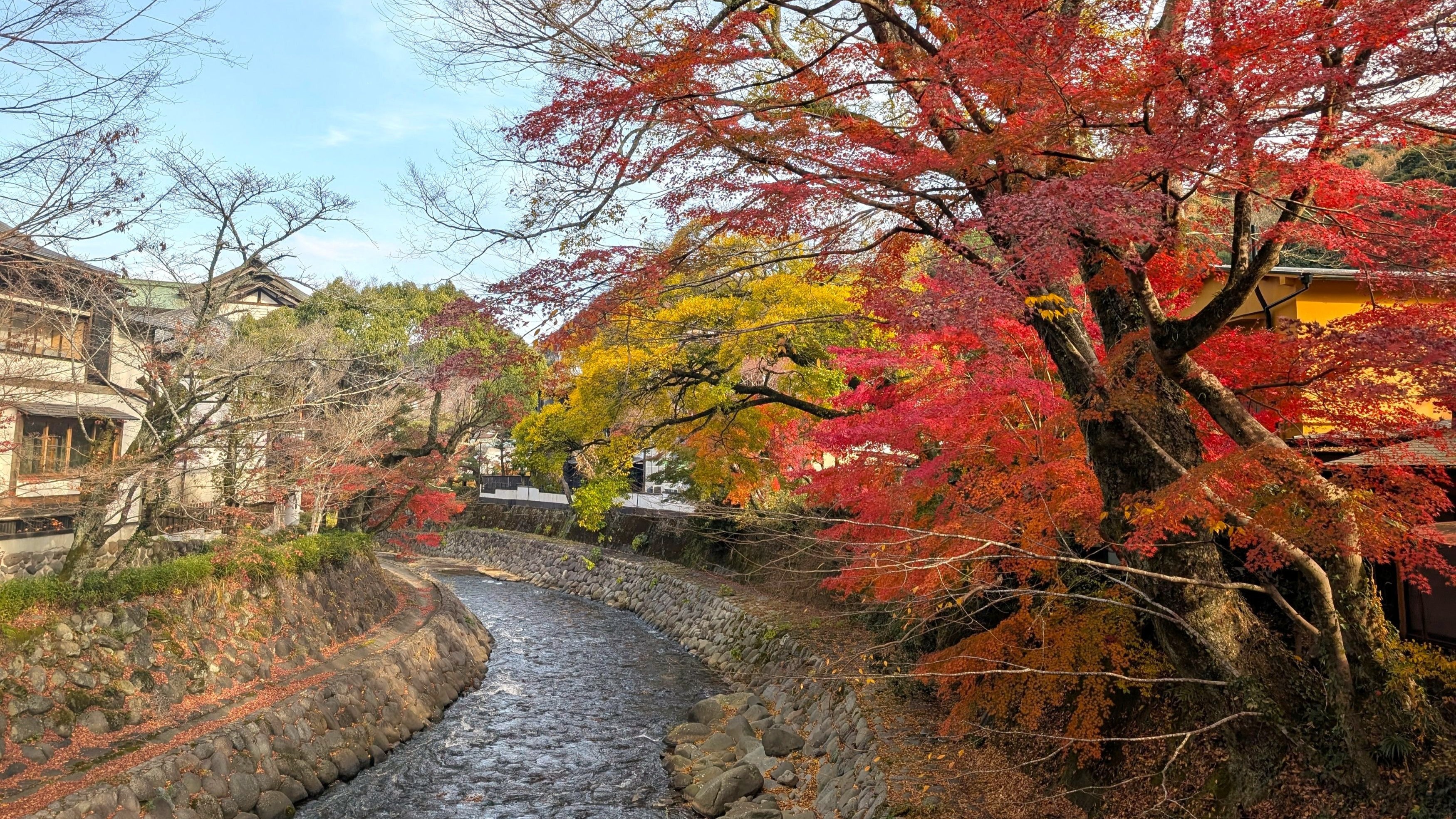 秋の修善寺（当館から車で約30分）