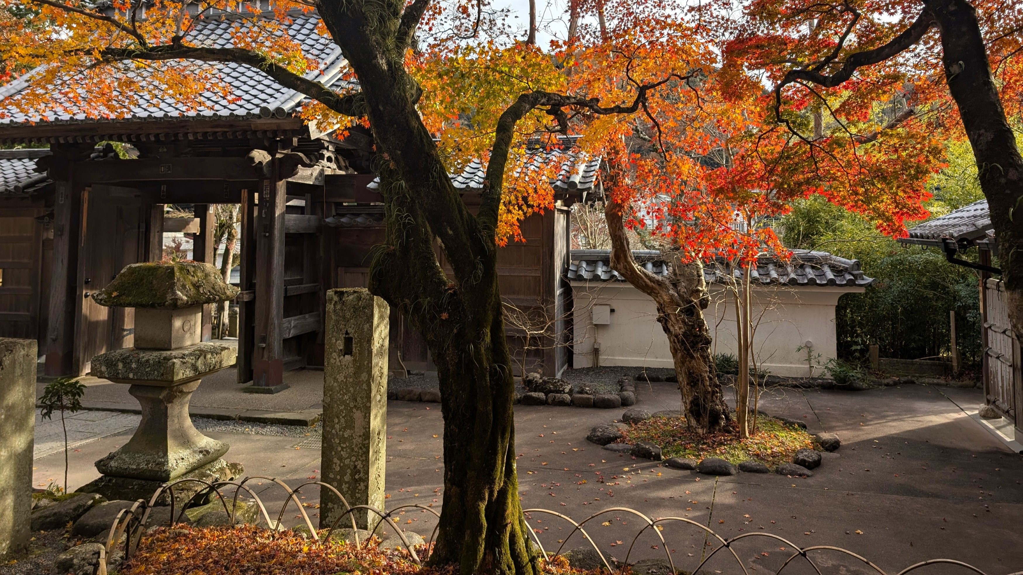 秋の修善寺（当館から車で約30分）
