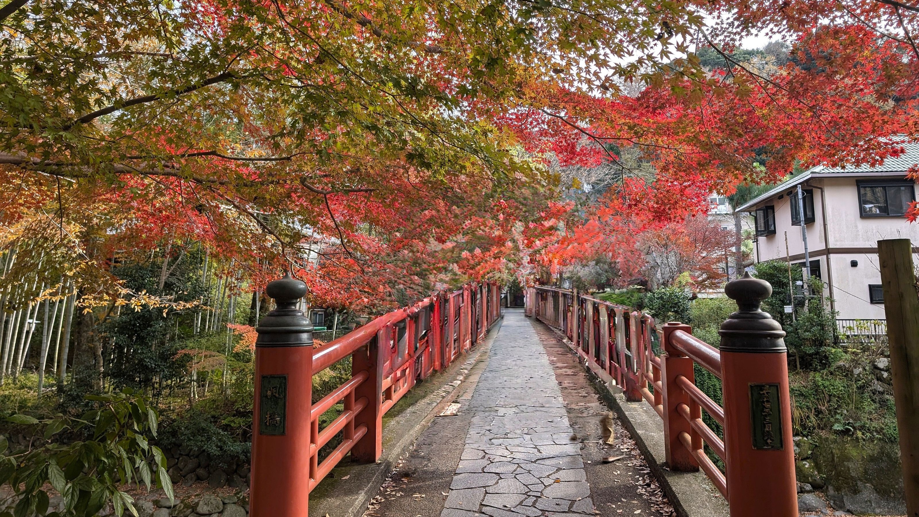 秋の修善寺（当館から車で約30分）