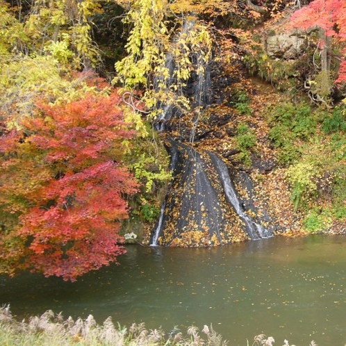 紅葉に彩られた白糸の滝