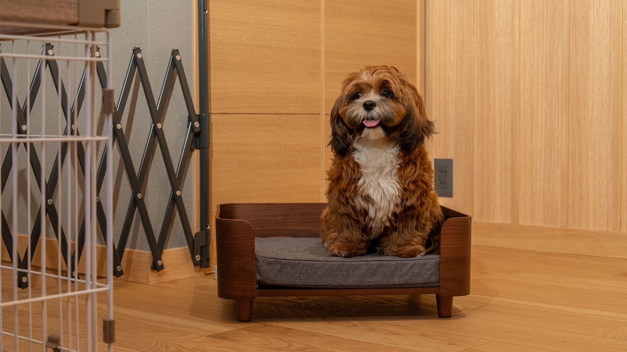 別邸 | 愛犬グッズ