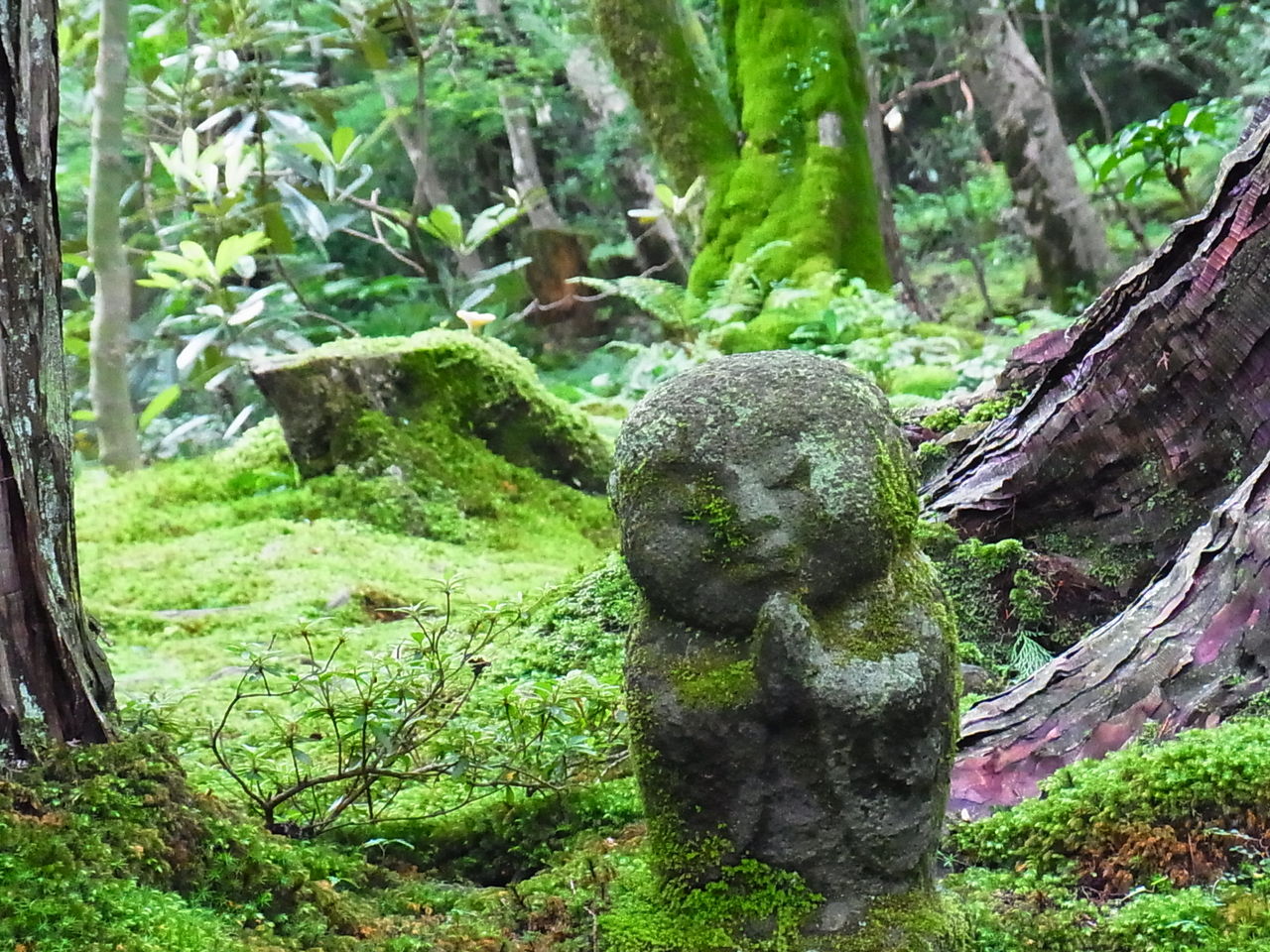 大原三千院