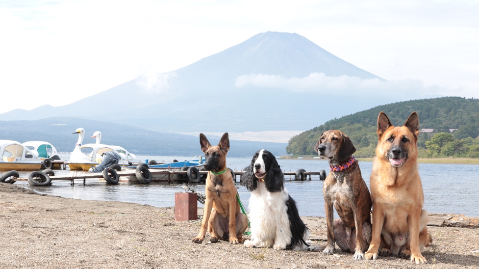 【直前割・直前予約】8月の宿泊がお得★☆素泊まり限定プラン！
