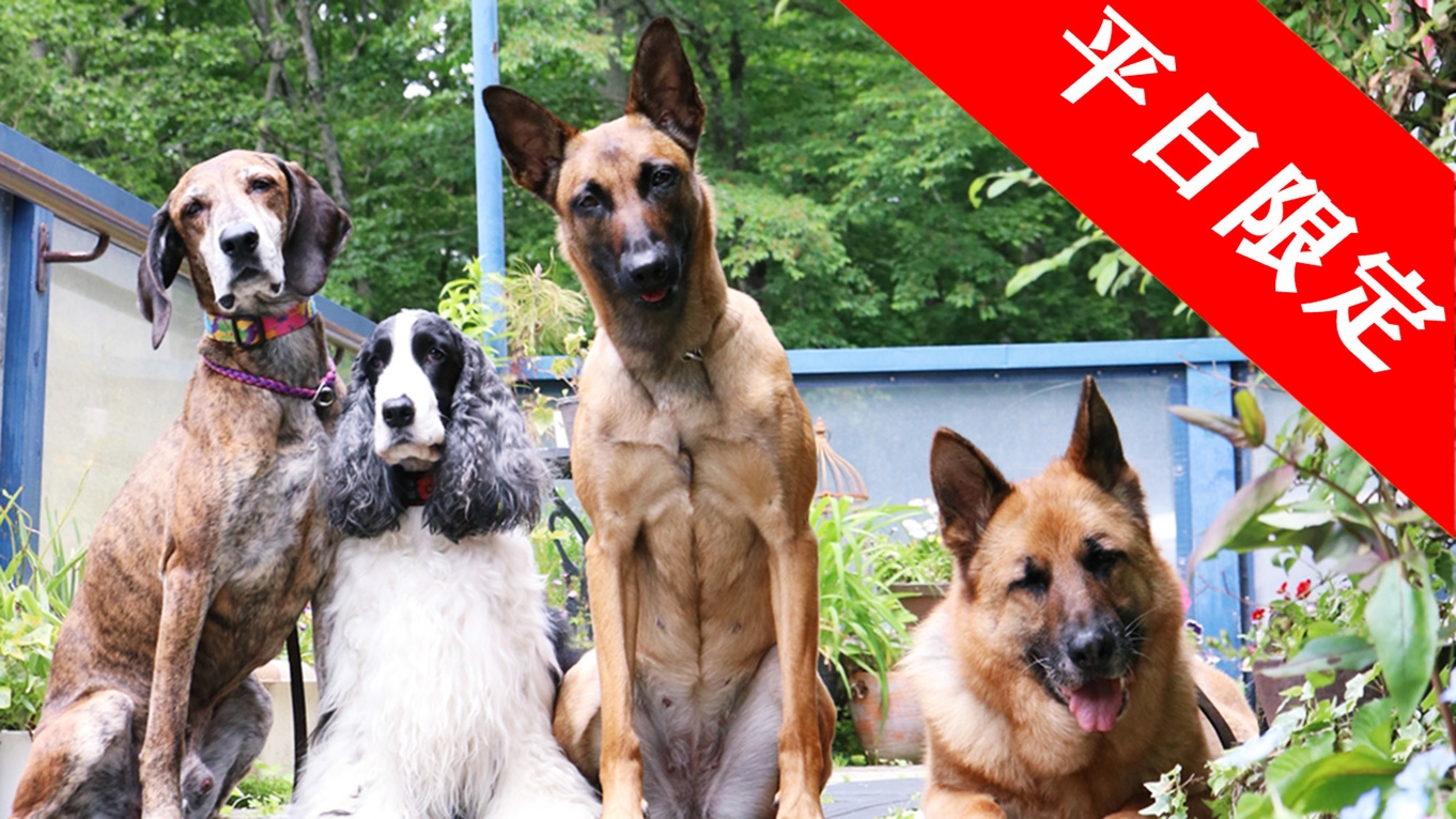 【平日限定】通常よりもお得♪《ワンちゃんアメニティ無料！》のんびりＳＴＡＹ♪素泊りプラン