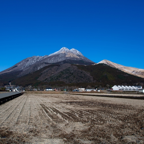 由布岳　冬