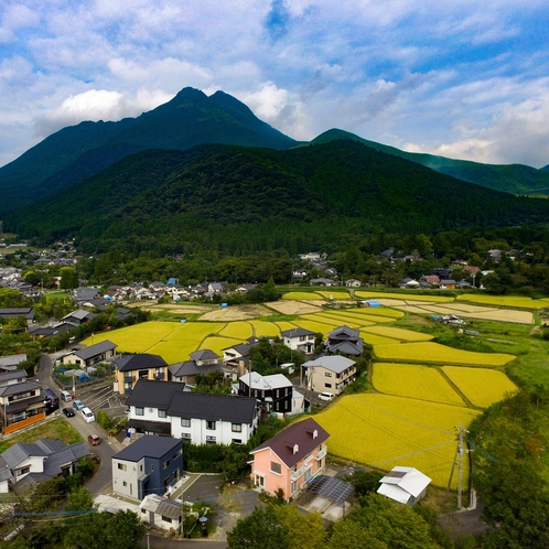 旅の蔵　上空から