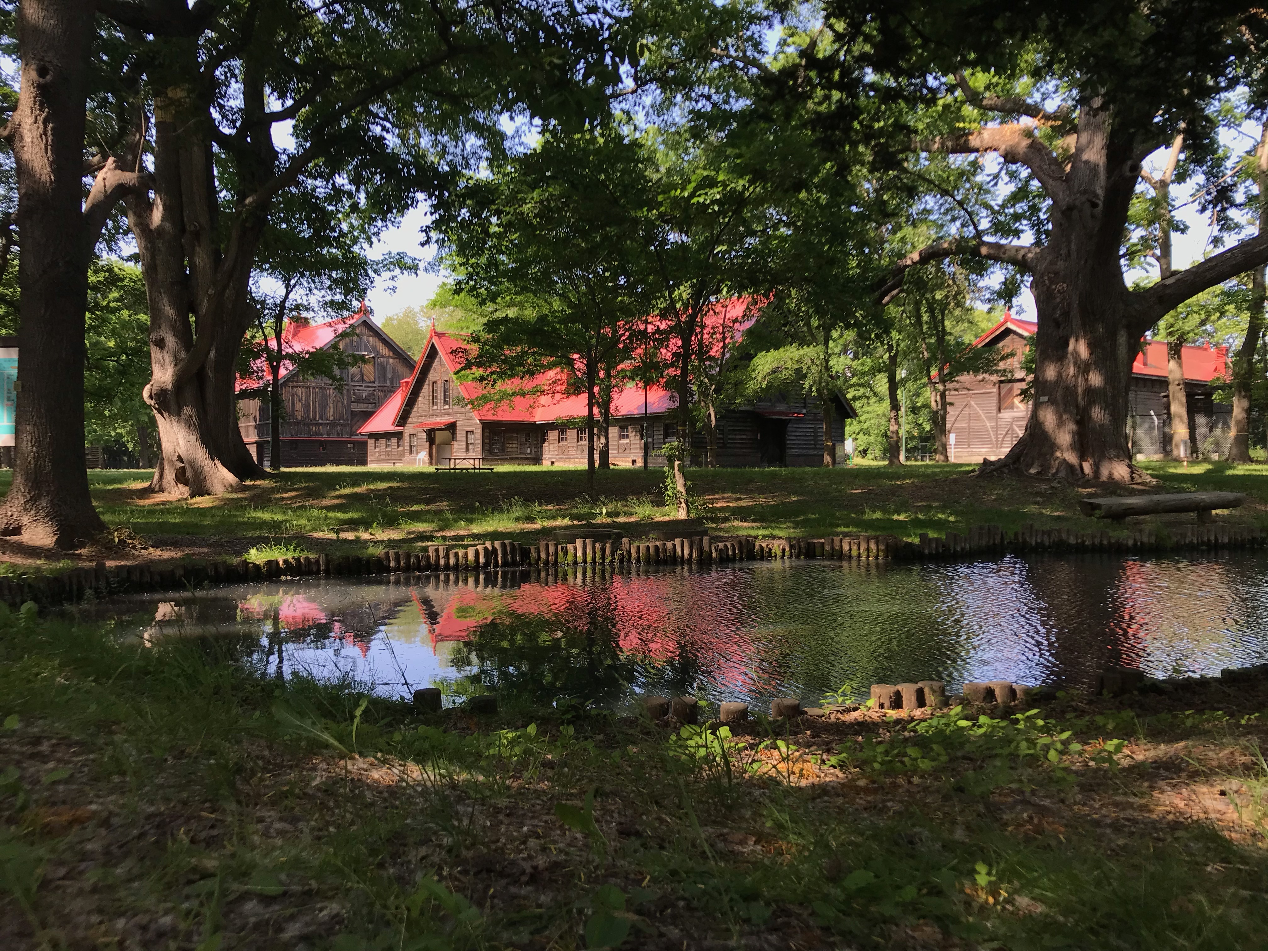 北海道大学