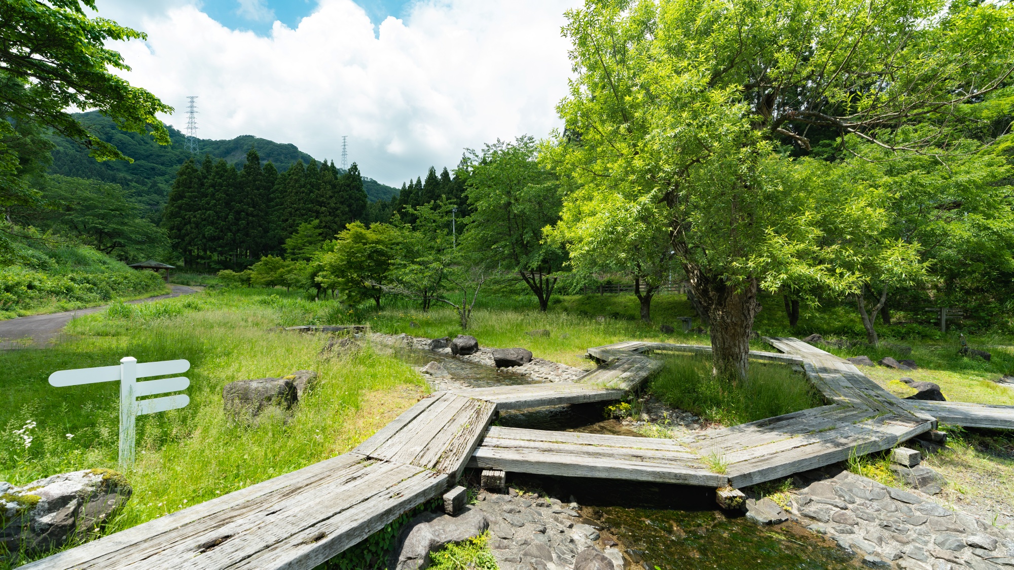 *【水辺植物園】四季折々の花々が訪れる人を迎えてくれます