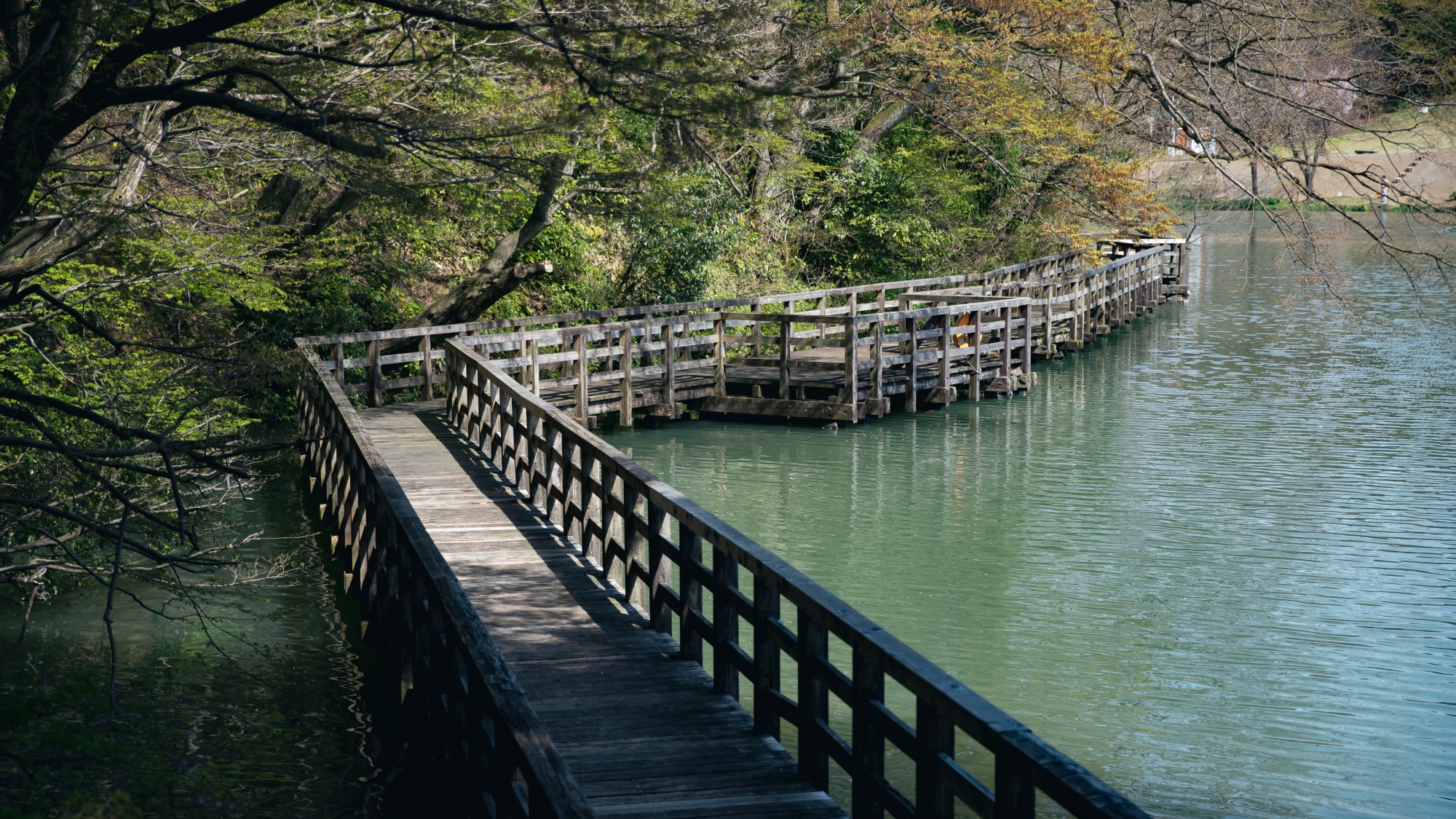 *【フィッシング】春夏秋冬、季節の移ろいを感じながら散策するのも○
