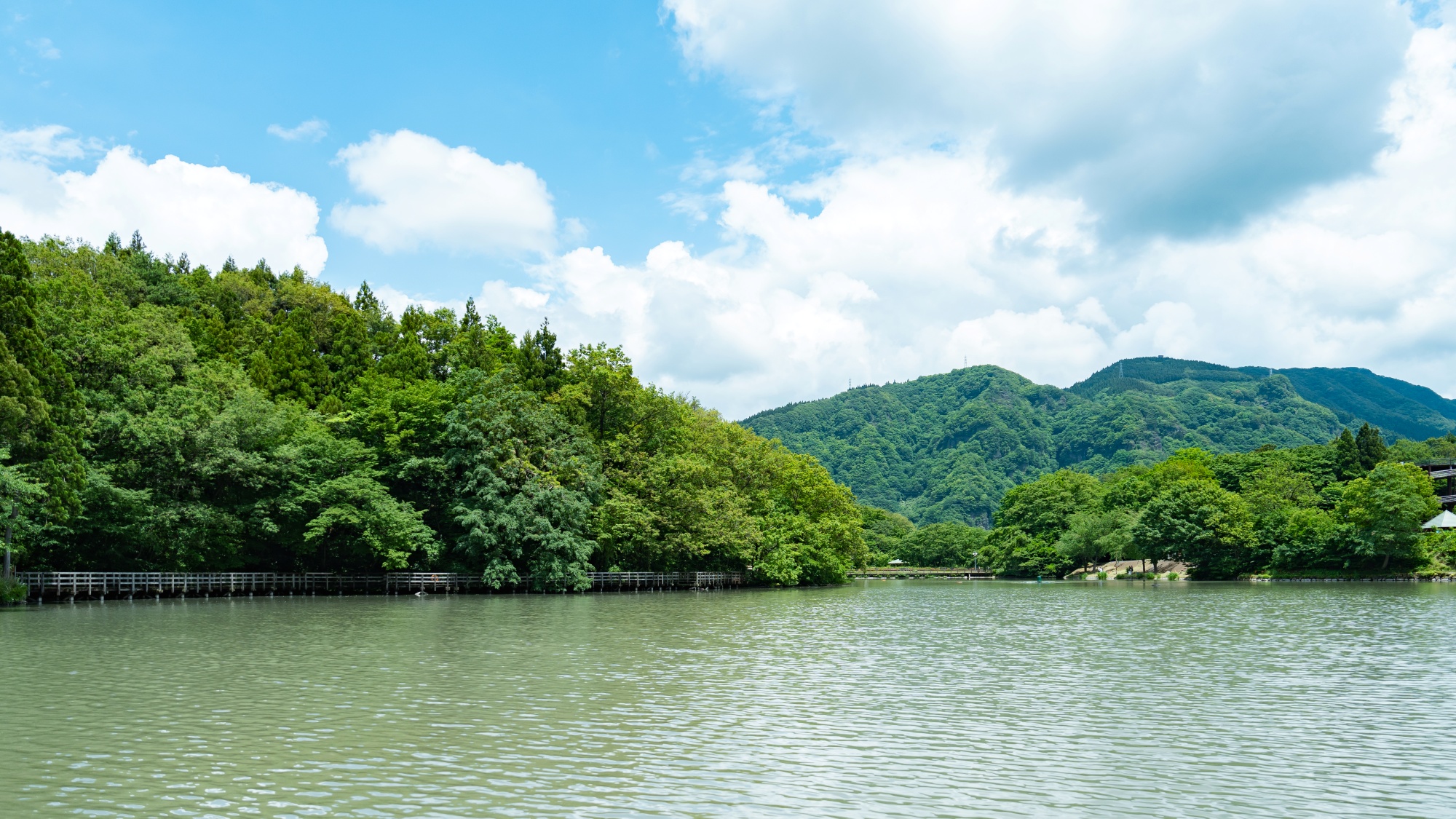 *【フィッシング】月に2回程度ニジマスを放流しており手ぶらでも釣りを楽しめます