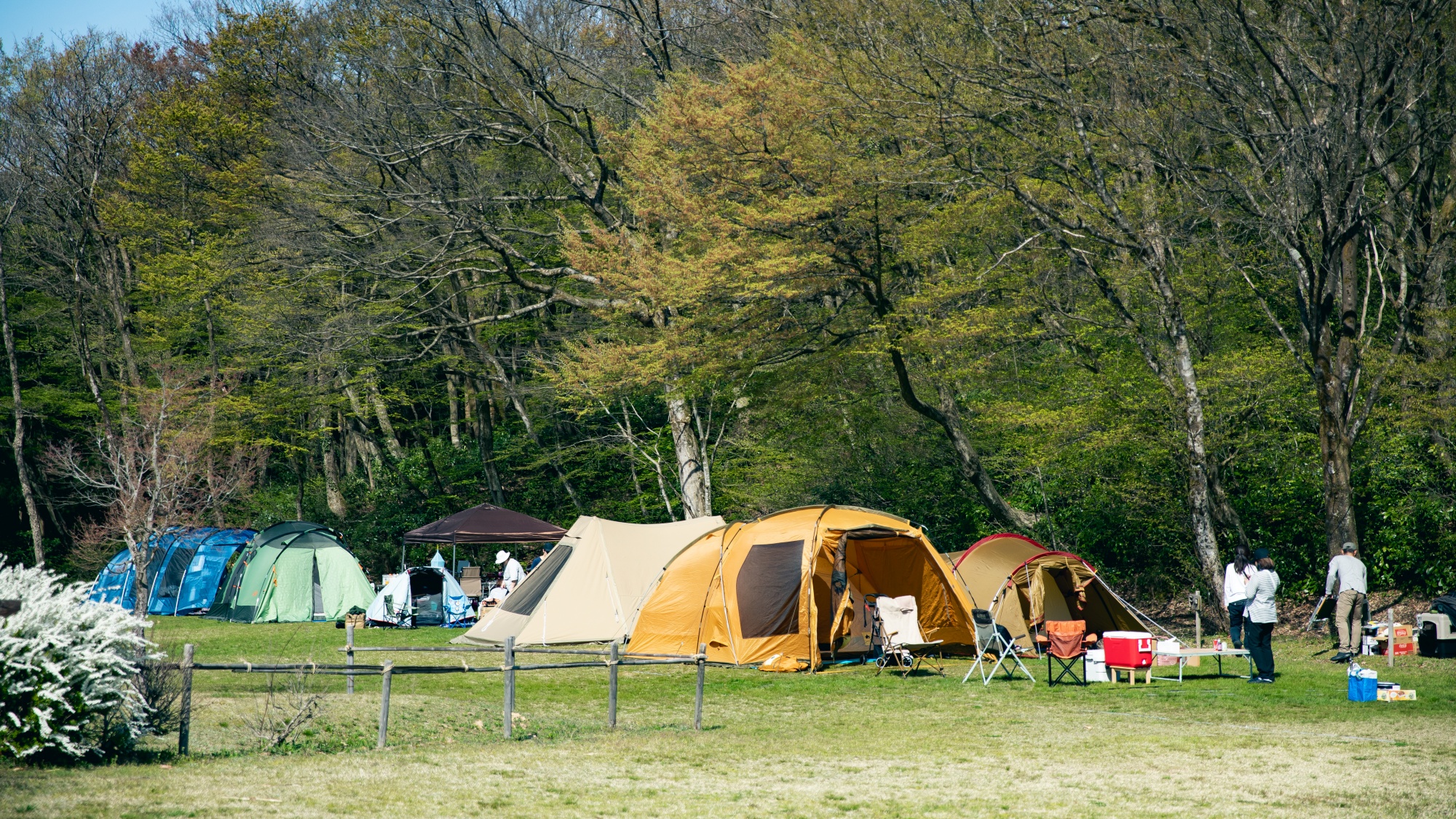 *【テントサイト】区画にとらわれずその日の気分でお好きなところでキャンプを
