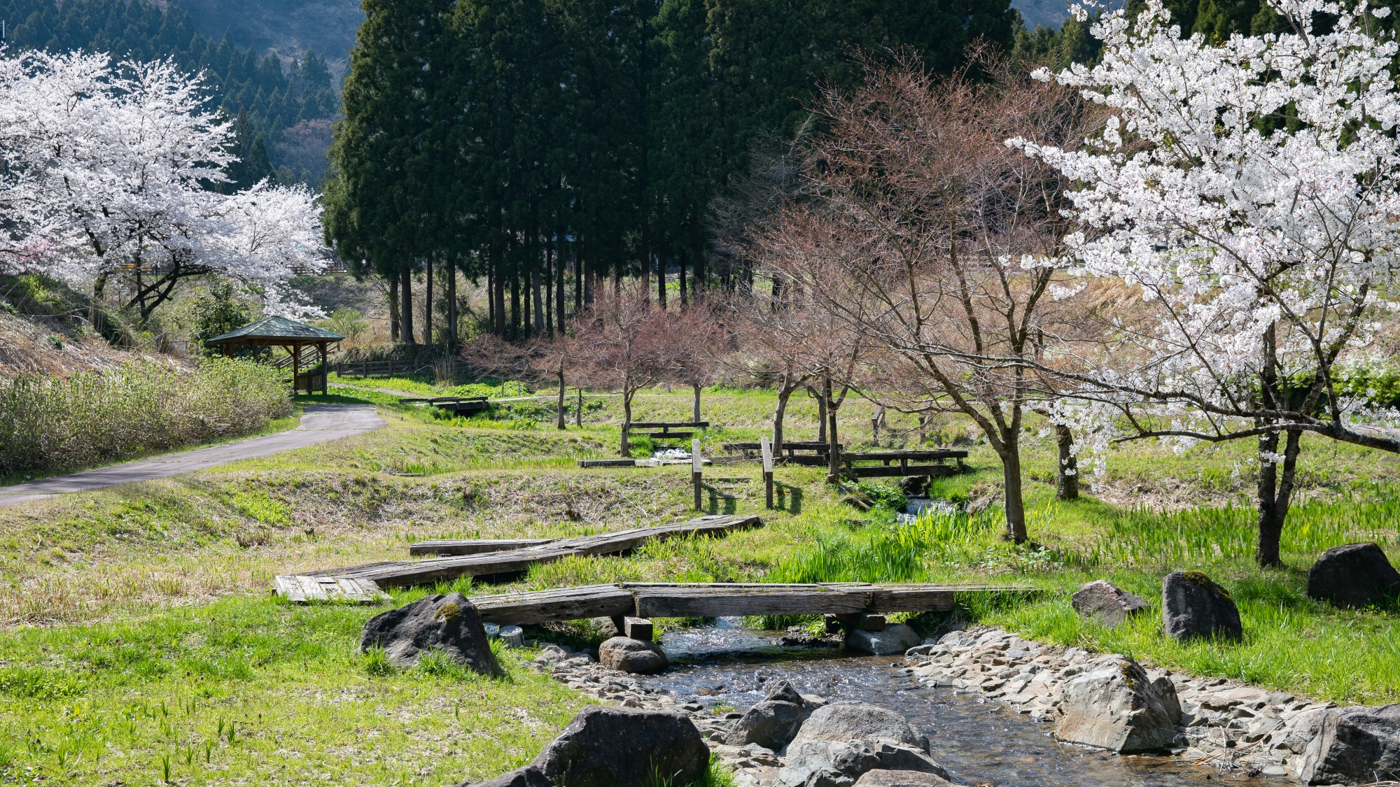 *【水辺植物園】季節により色々な景色を見ることができます