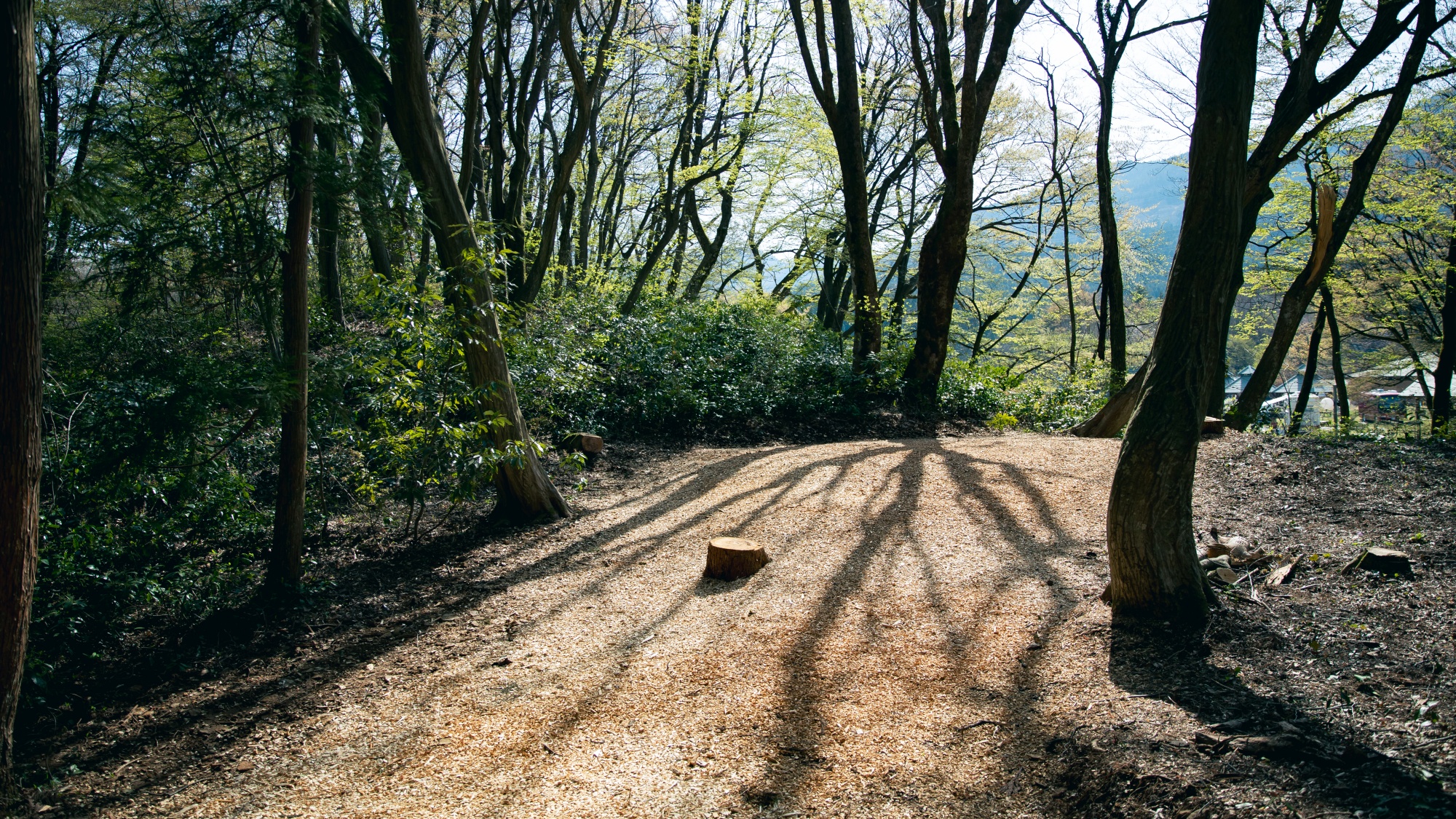 *【テントサイト】共同炊事場をご利用ください