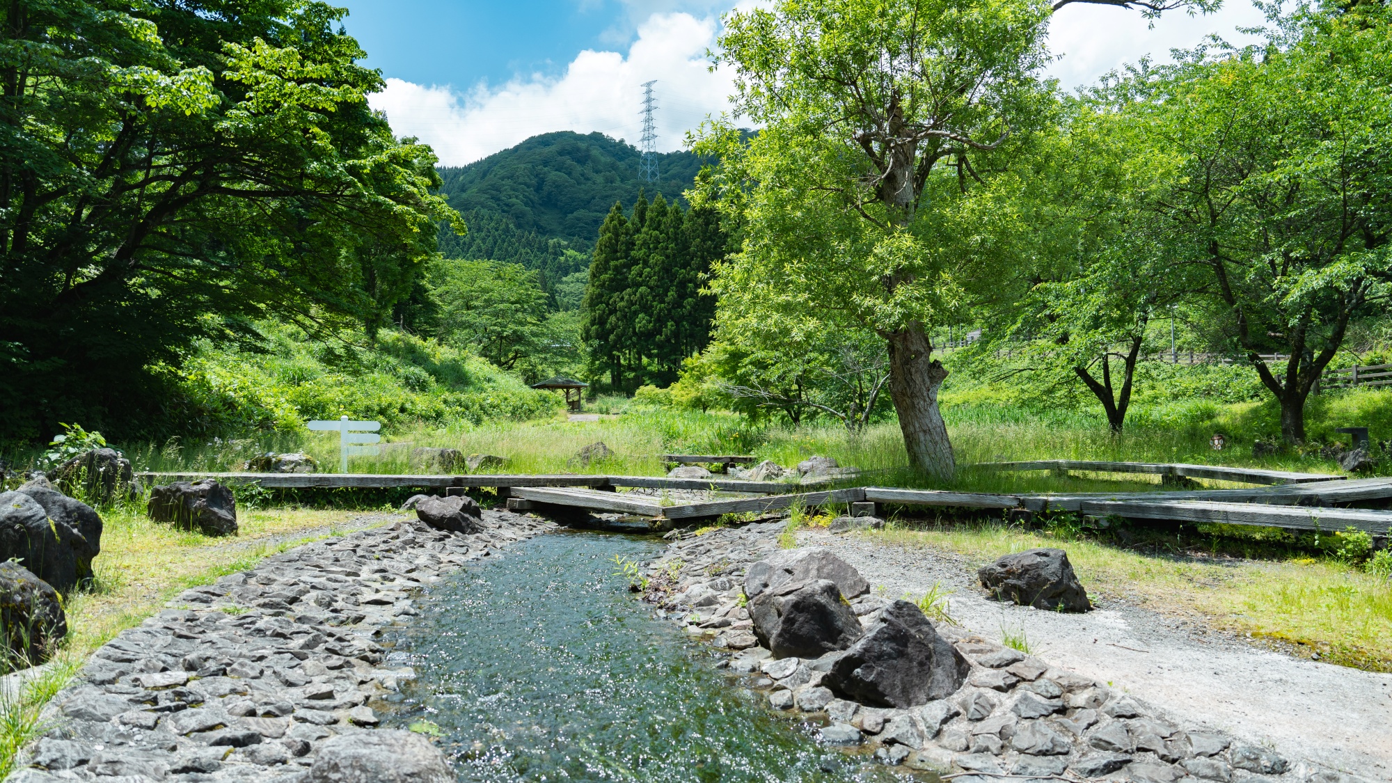 *【水辺植物園】静かな湖面に映る自然の美しさを感じられます