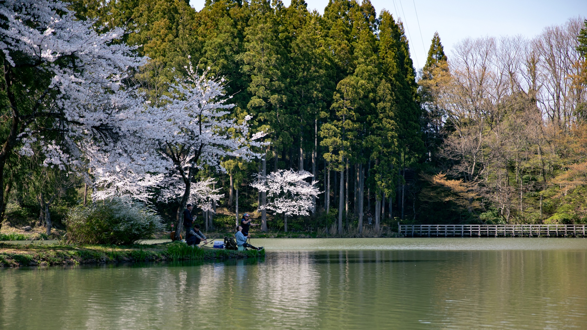 *【フィッシング】自然と触れ合いながら楽しい体験を
