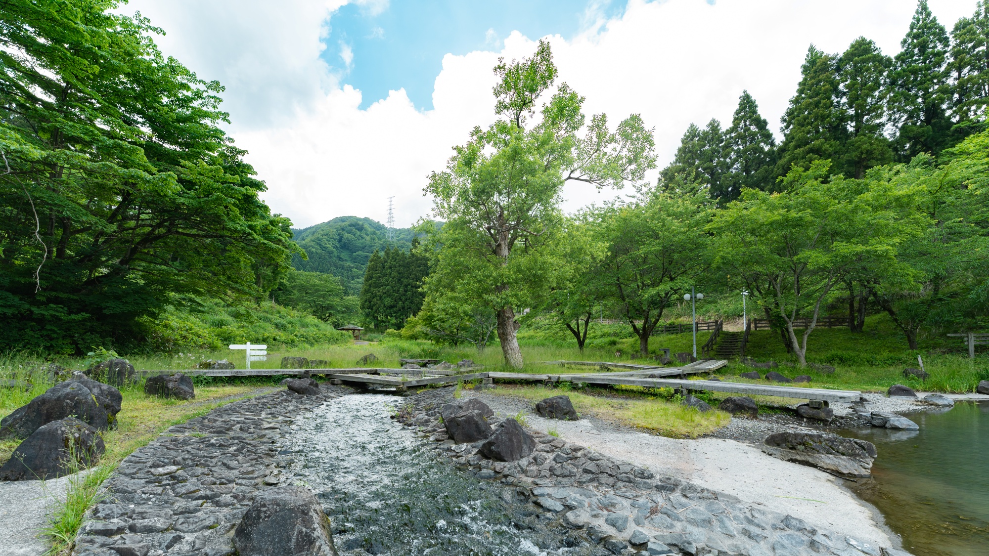*【水辺植物園】静かな湖面に映る自然の美しさを感じられます