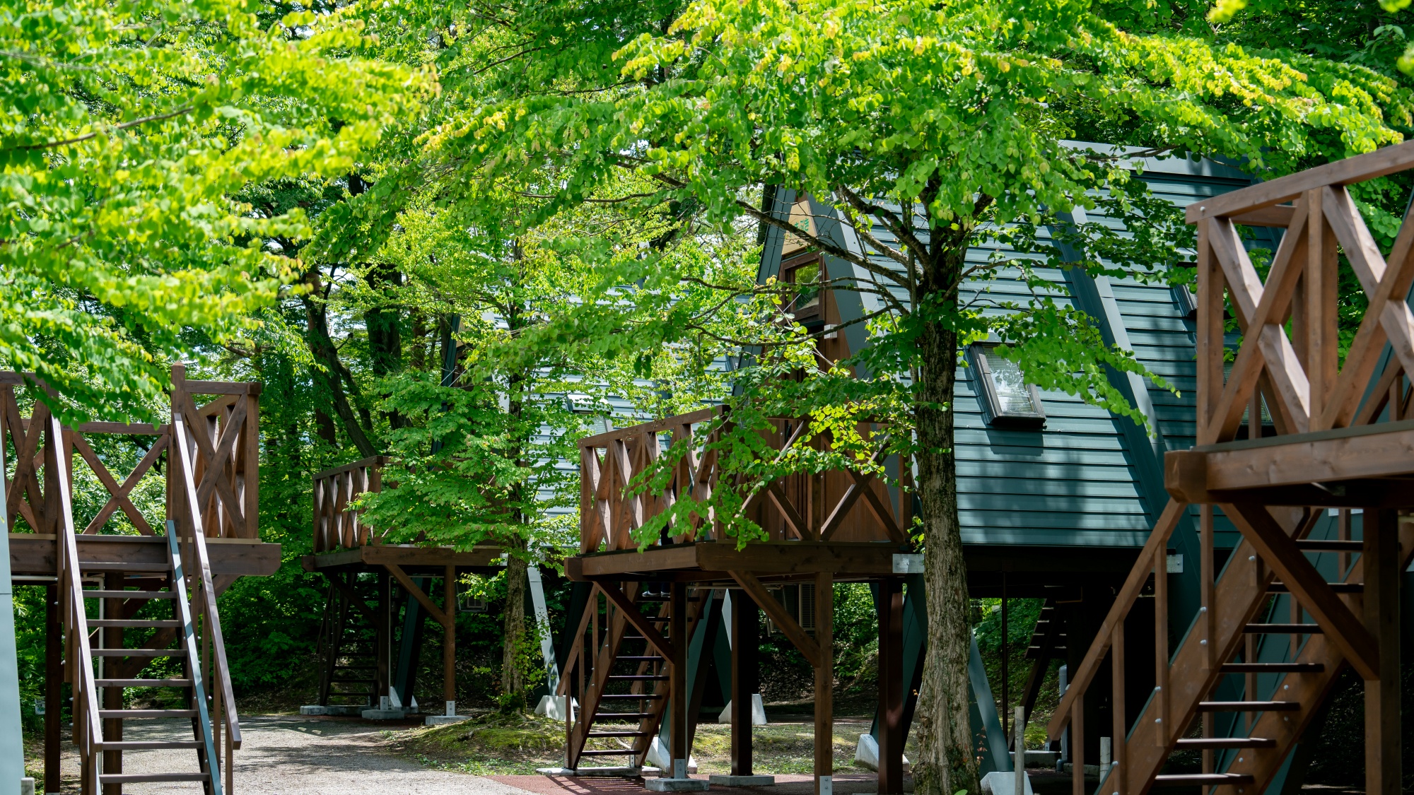 *【コテージ】三角屋根と高床のかわいいコテージ