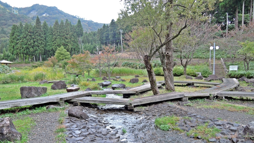 *【水辺植物園】水辺のお散歩をお楽しみいただけます