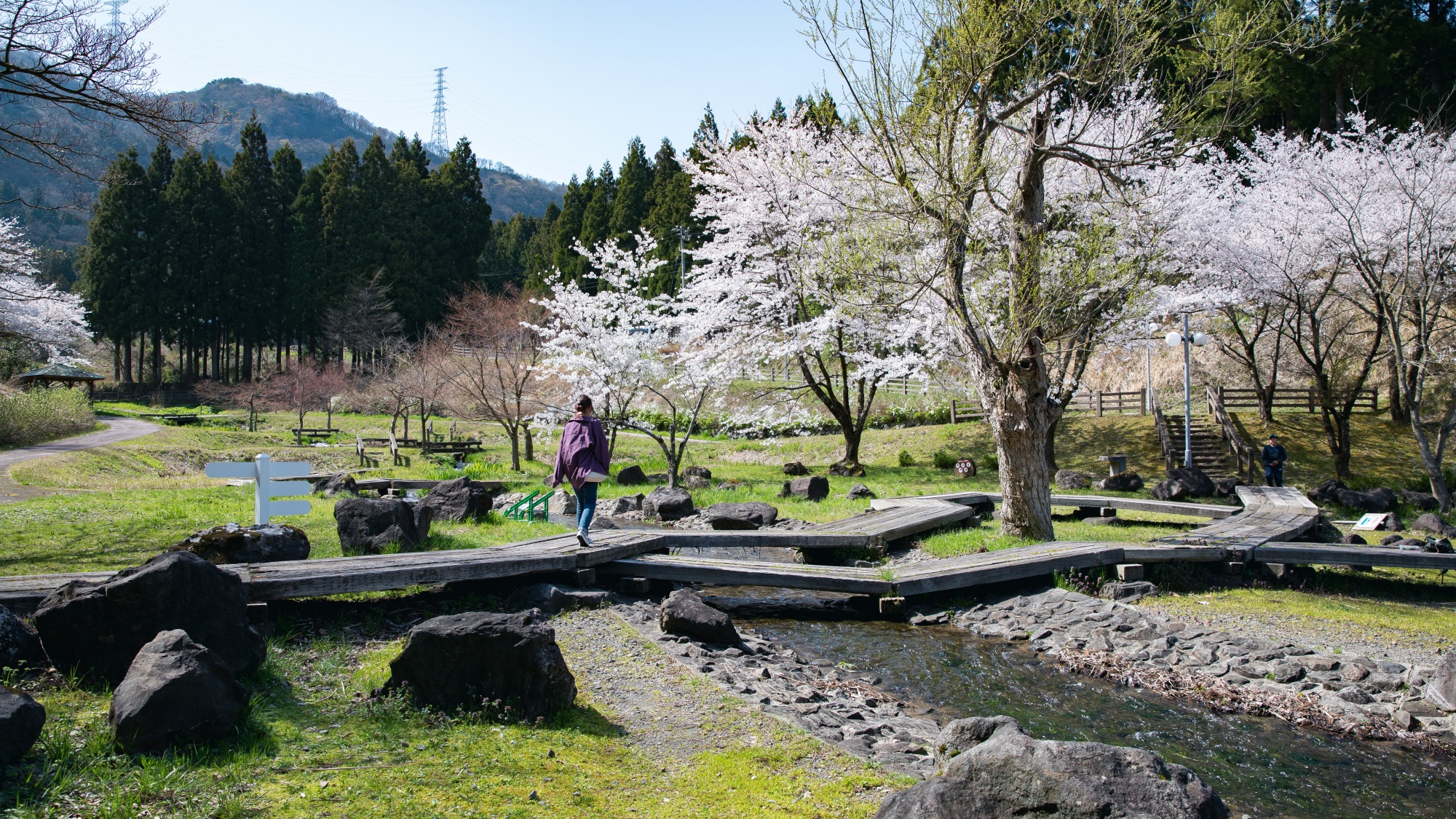 *【水辺植物園】水辺のお散歩をお楽しみいただけます