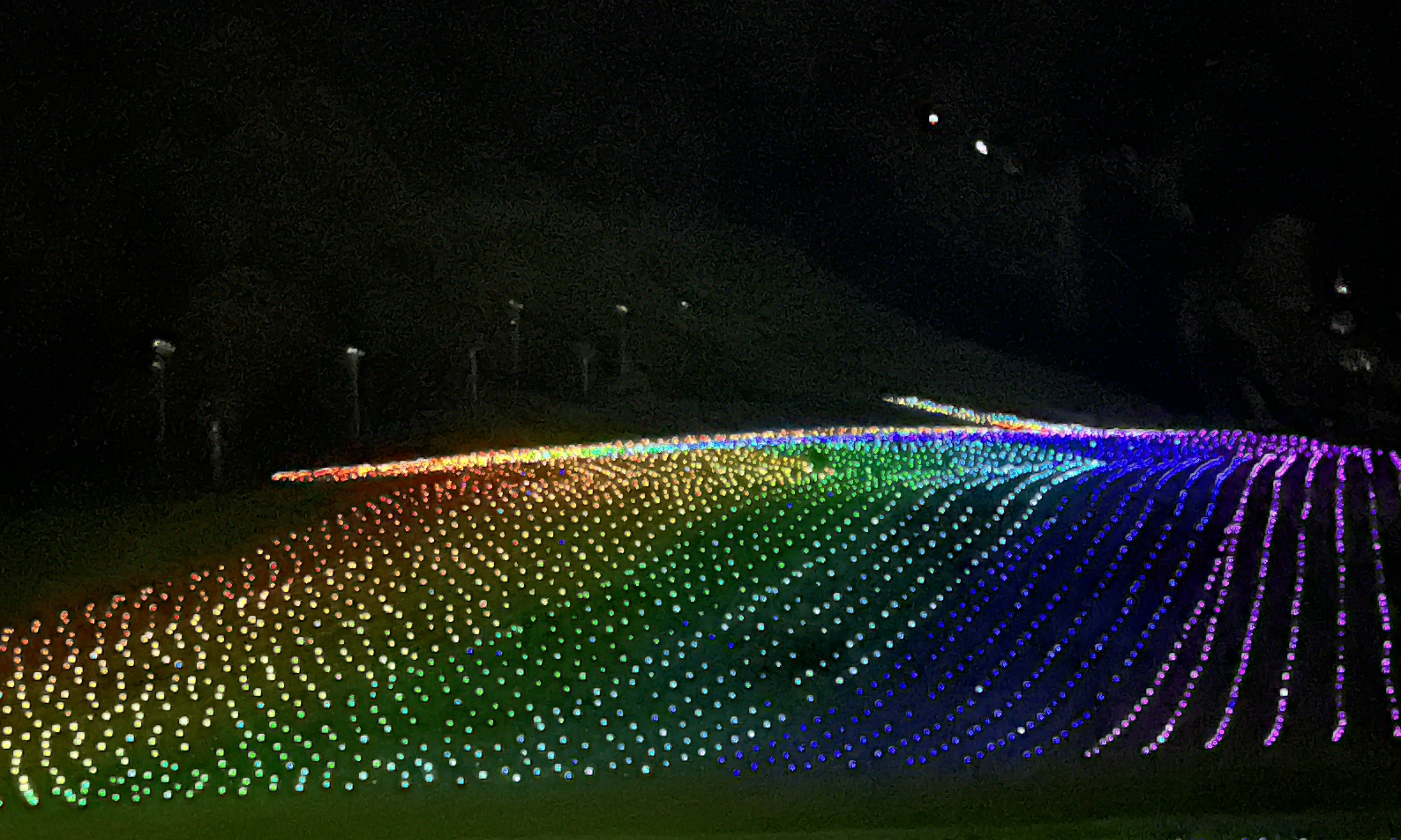 イルミネーション