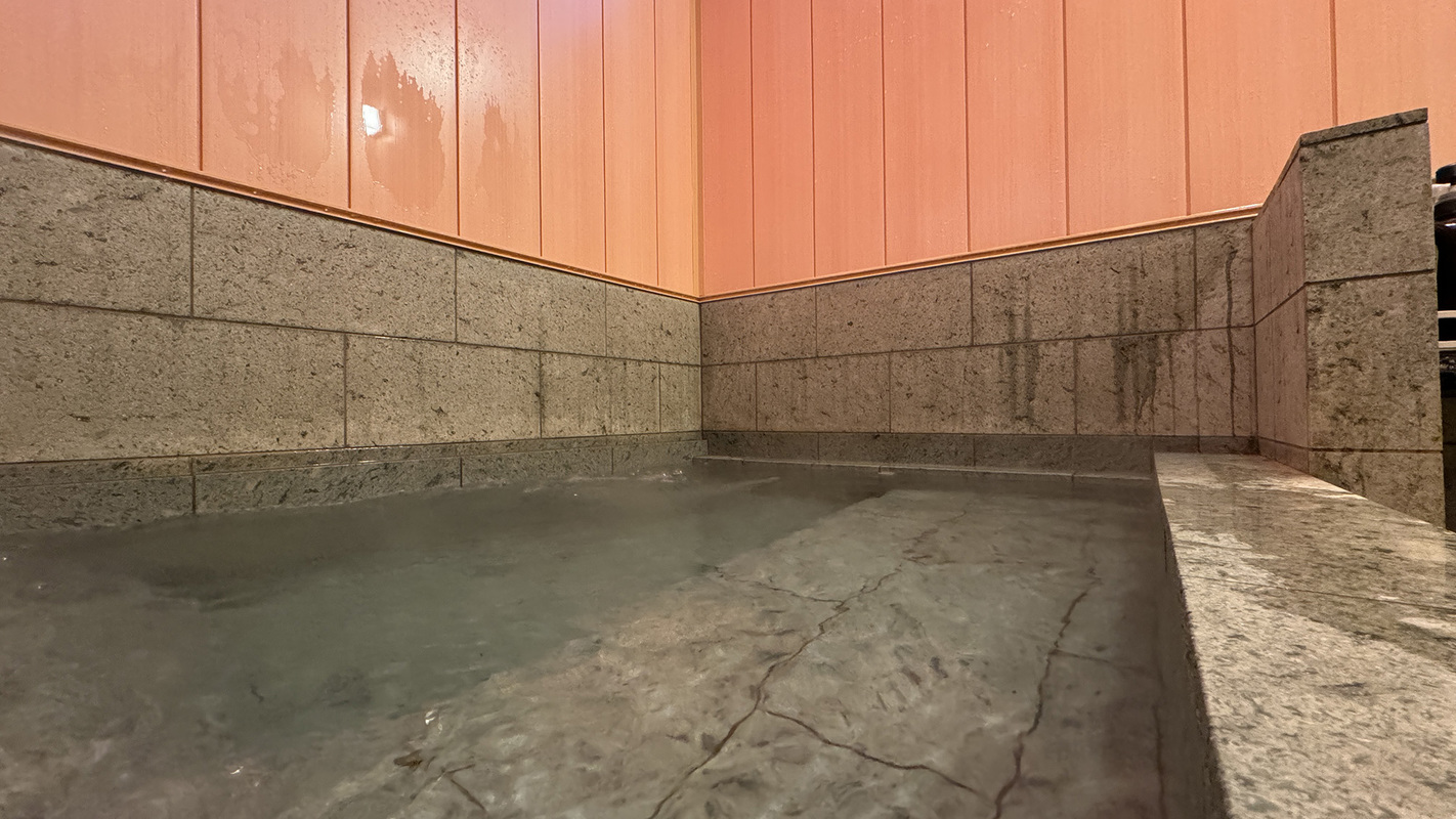 【冬季限定】富山で獲れる海鮮に舌鼓♪紅ズワイ蟹をまるごと1杯！この時期だけの贅沢プラン★＜1泊2食＞