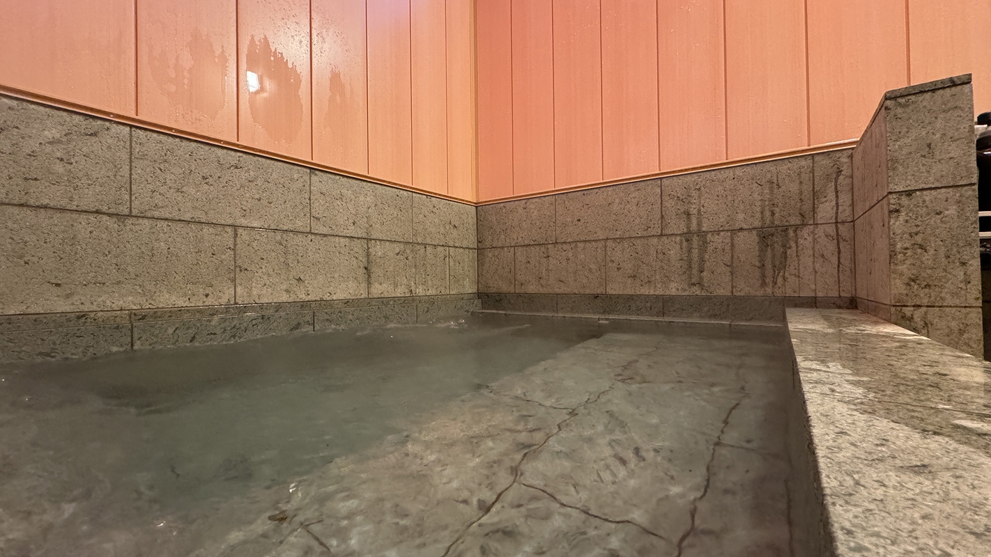 【冬季限定】富山で獲れる海鮮に舌鼓♪紅ズワイ蟹をまるごと1杯！この時期だけの贅沢プラン★＜1泊2食＞