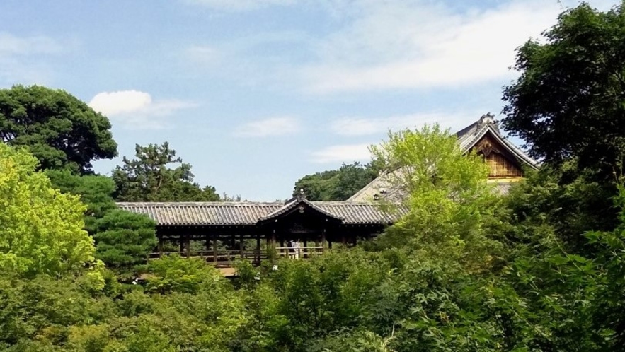 ■東福寺■秋には約2000本の美しい紅葉を通天橋から眺めてみては。京都駅からもアクセス便利。