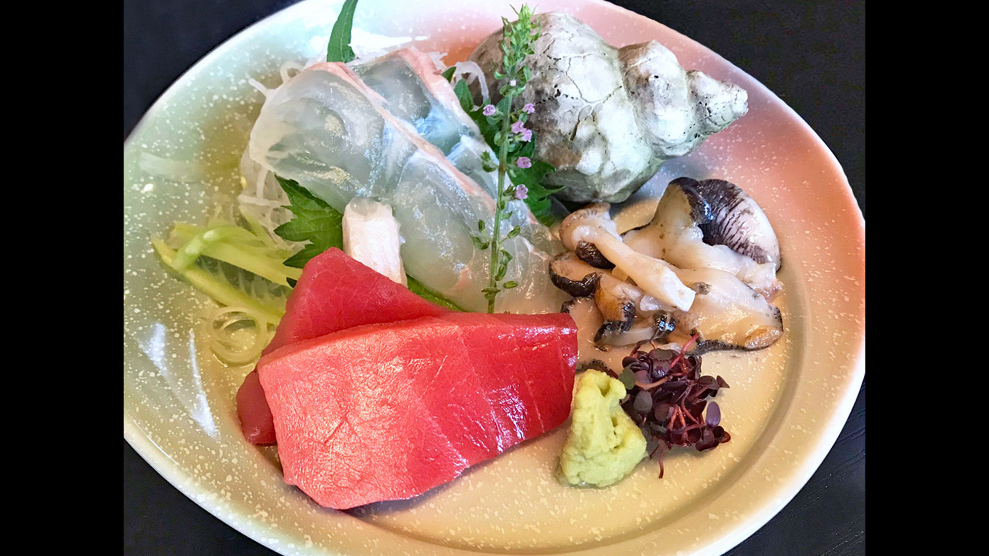 【季節のお造り】旬のお造りの中にはお試しサイズの大間マグロが…！