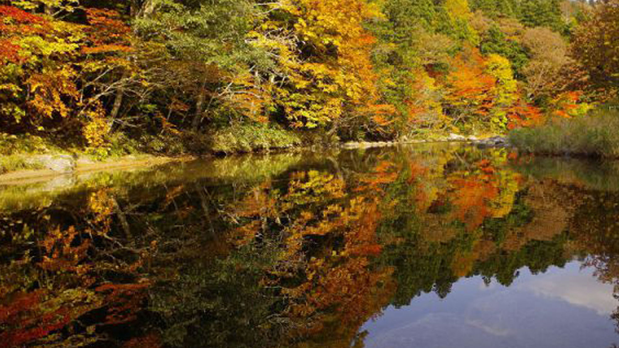 薬研渓流の紅葉（例年の見頃は10月中旬～下旬）当館より約20km・お車にて30分程です。
