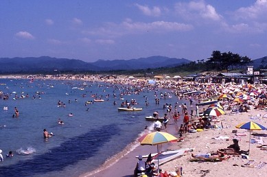 ≪夏の厳選食材を２品チョイス≫＆気まぐれ海鮮会席〜夕食お部屋食〜