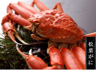 松葉ガニ