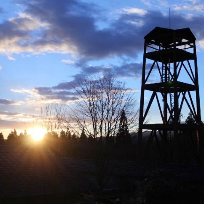 フォレストリゾート コニファーいわびつ 口コミ 楽天トラベル