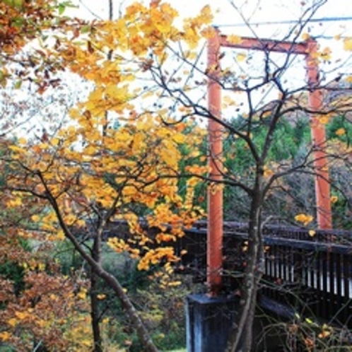 つり橋秋の風景
