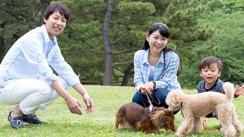 犬と家族