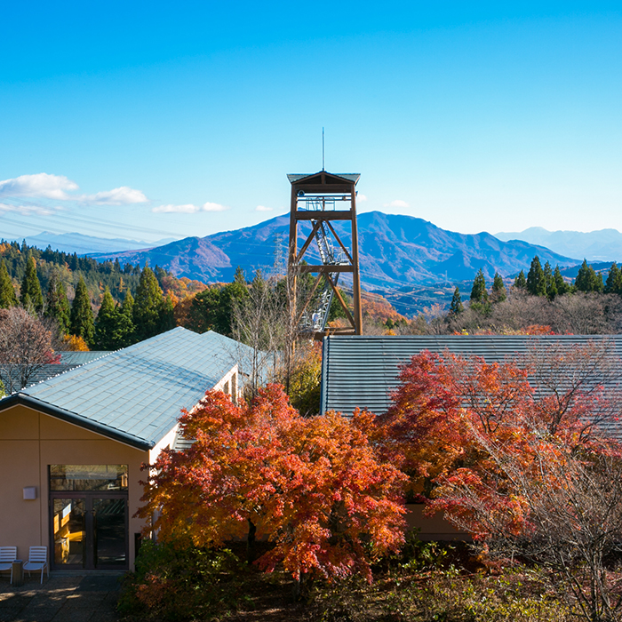 展望台からの風景