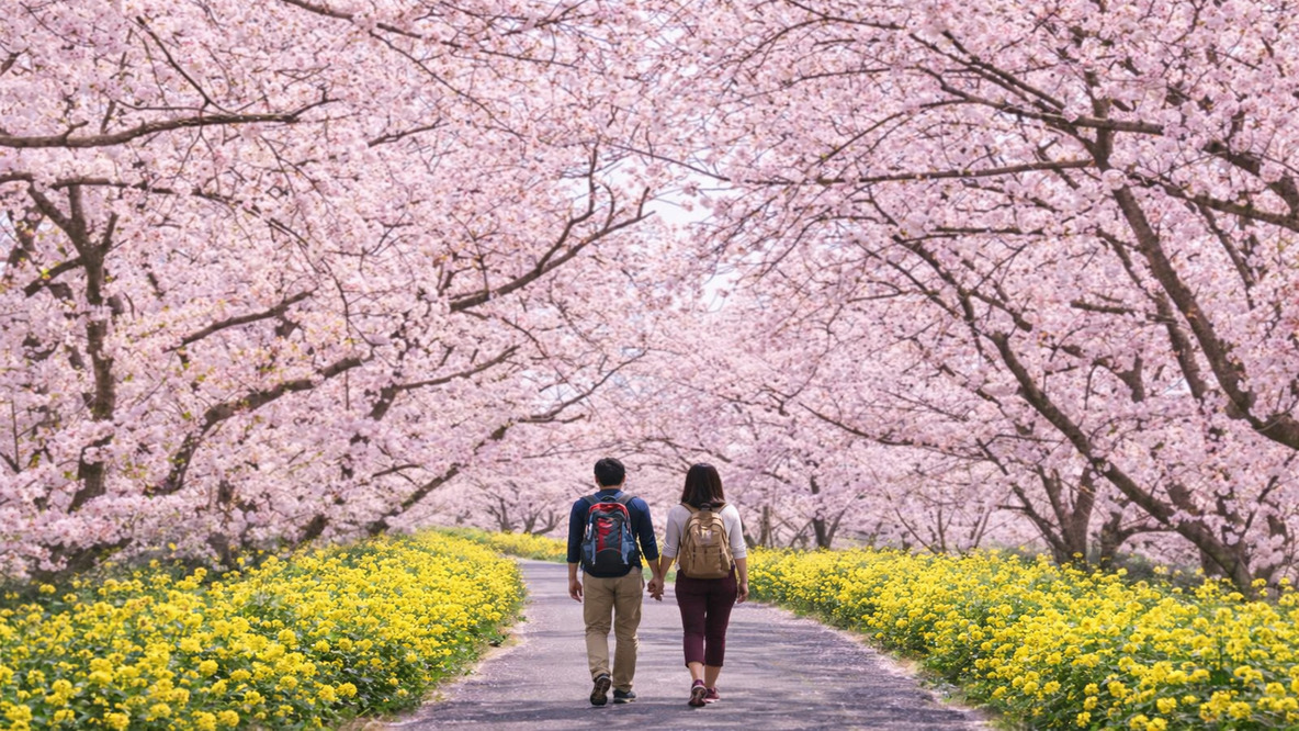 【早期割60】60日前のご予約で通常プランより最大15％OFF！《ビュッフェ朝食＆夕食》