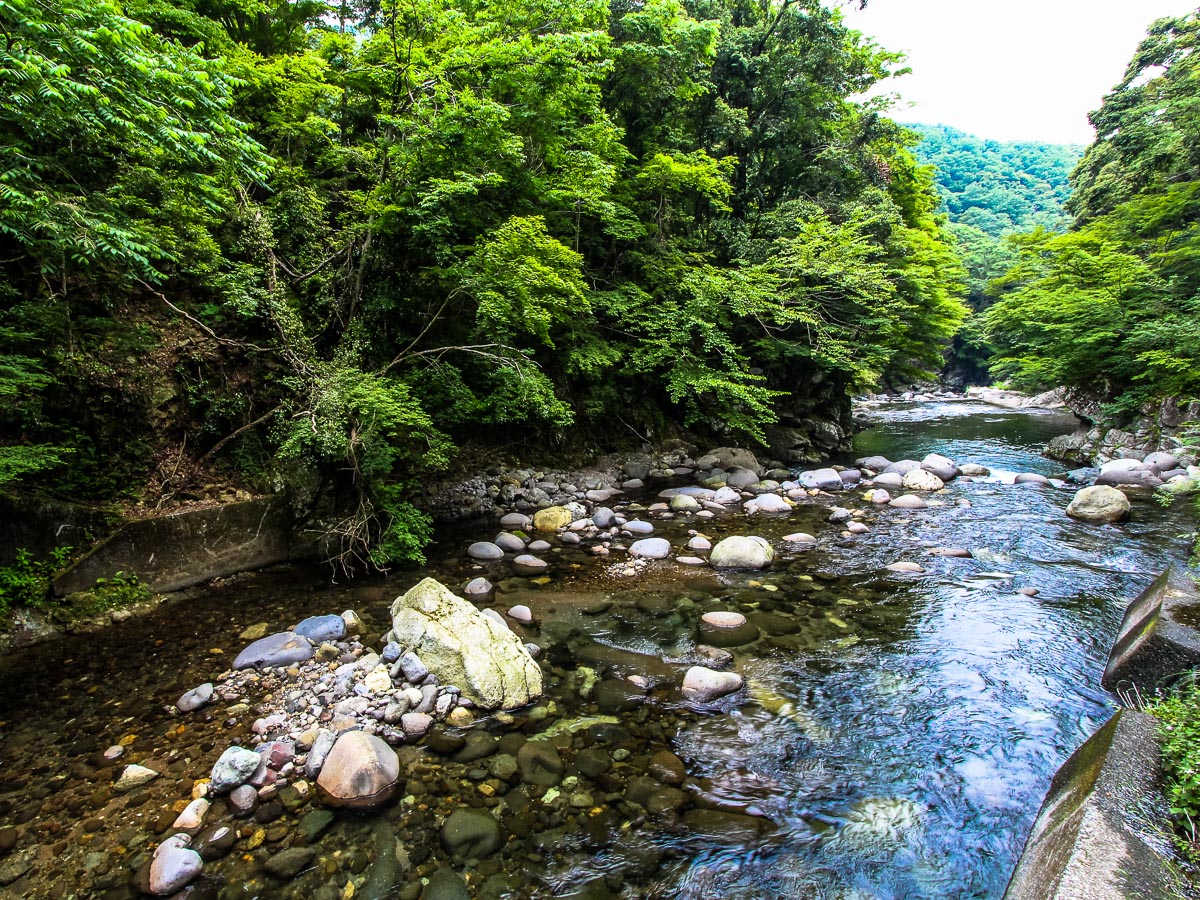 【風景】蛍が生息し、鮎がとれる、日本で数少ない清流